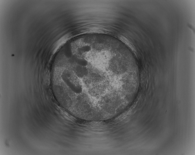 X0000098121067200804251446
