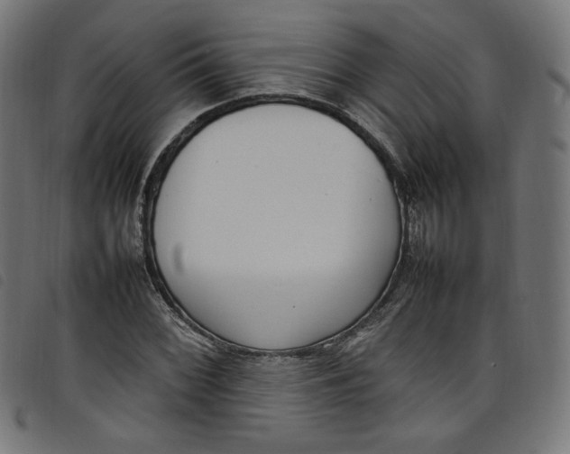 X0000098121068200804251446