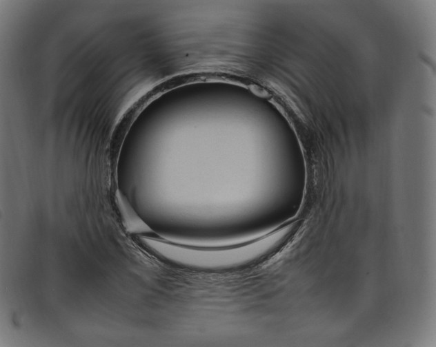 X0000098121069200804251446