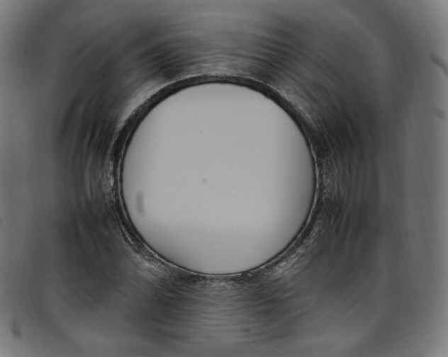 X0000098121070200804251446