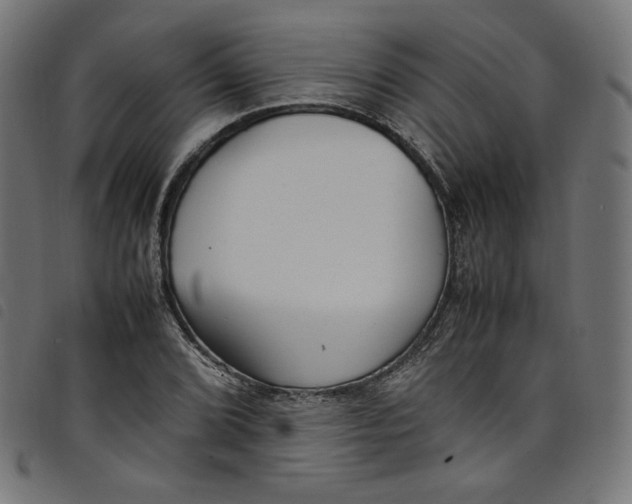 X0000098121072200804251446