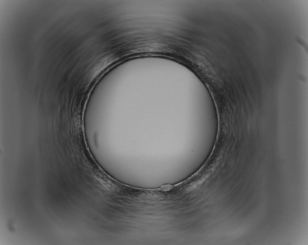 X0000098121073200804251446