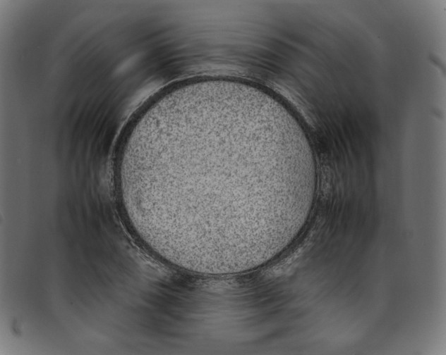 X0000098121074200804251446
