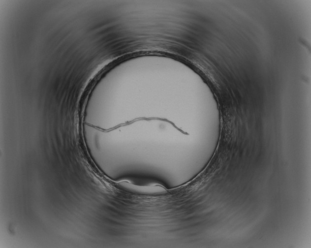 X0000098121076200804251446