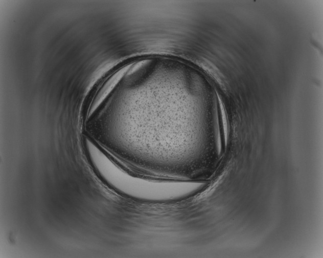 X0000098121077200804251446