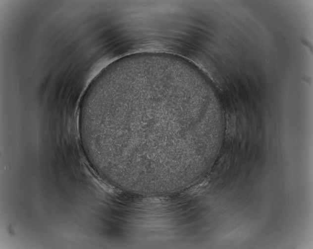 X0000098121078200804251446