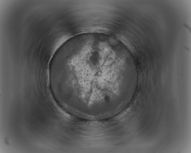 X0000098121079200804251446