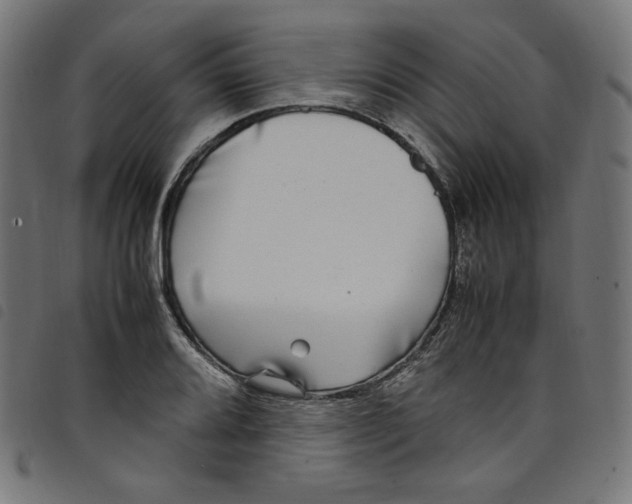 X0000098121080200804251446