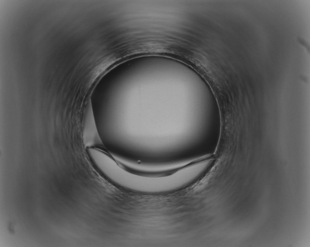 X0000098121081200804251446