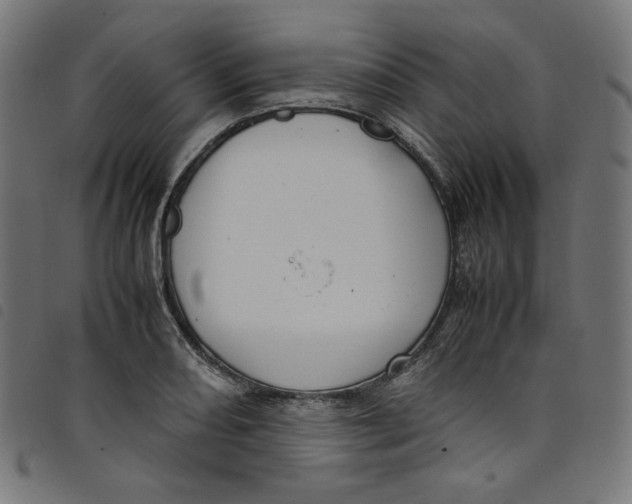 X0000098121082200804251446