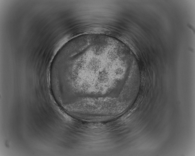 X0000098121083200804251446