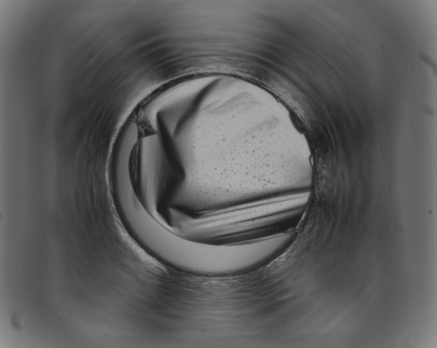 X0000098121084200804251446