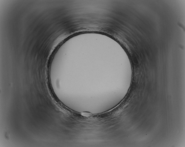 X0000098121085200804251446