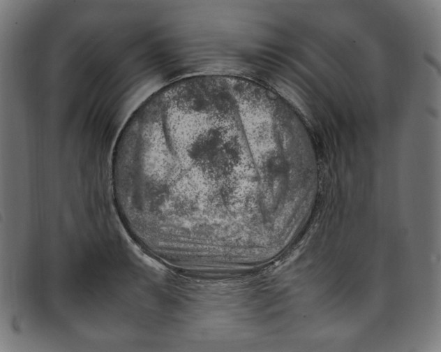 X0000098121087200804251446