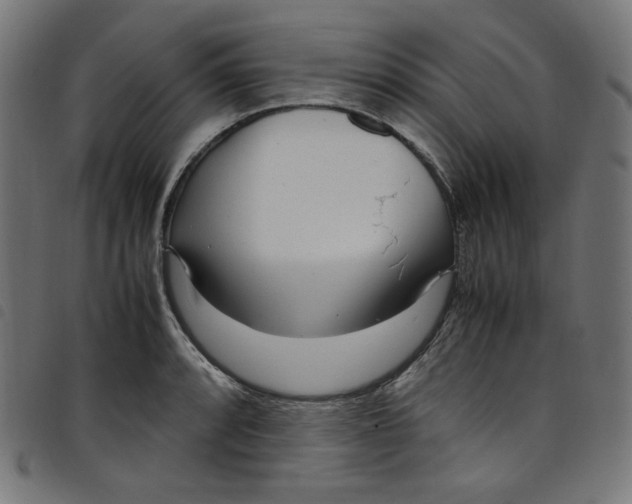 X0000098121088200804251446