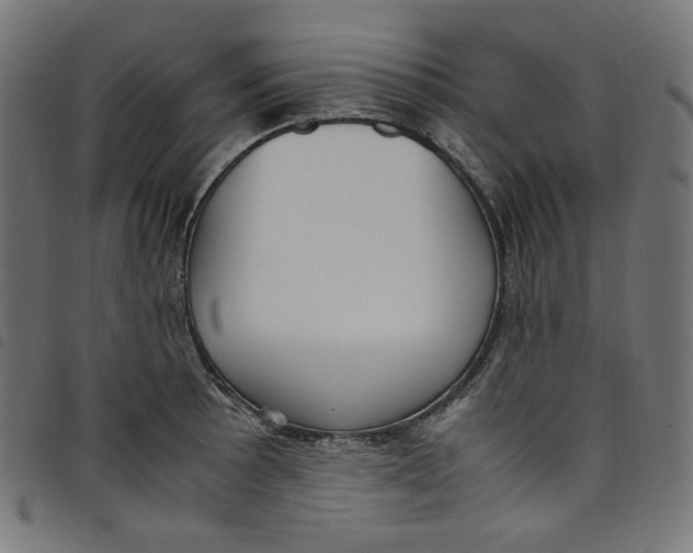 X0000098121089200804251446