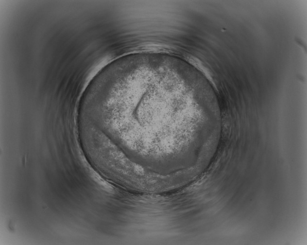 X0000098121091200804251446