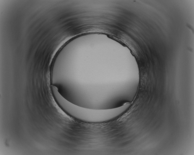 X0000098121092200804251446