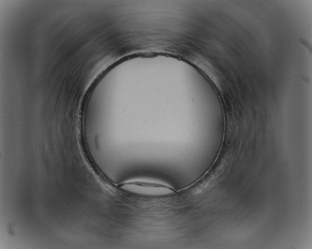 X0000098121093200804251446
