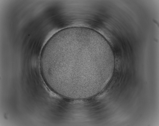 X0000098121094200804251446