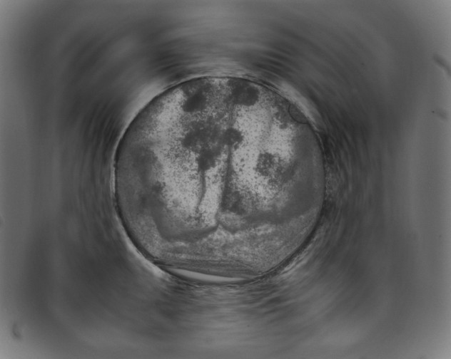 X0000098121095200804251446