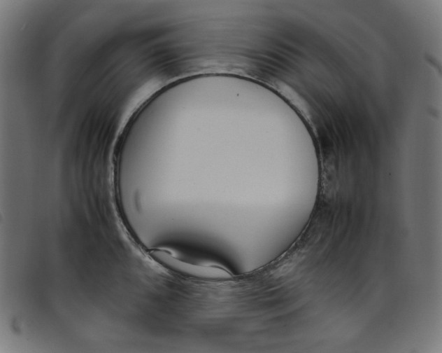 X0000098121096200804251446