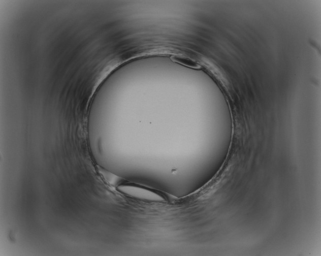 X0000098121097200804251446