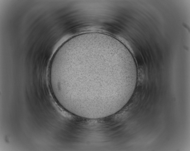 X0000098121098200804251446