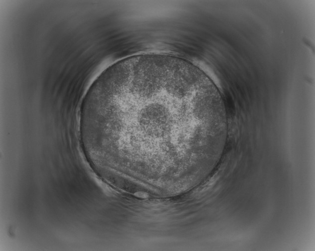 X0000098121099200804251446