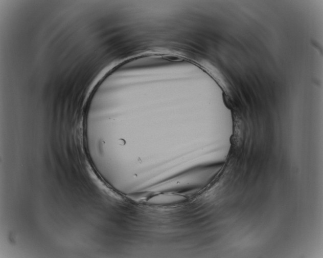 X0000098121100200804251446