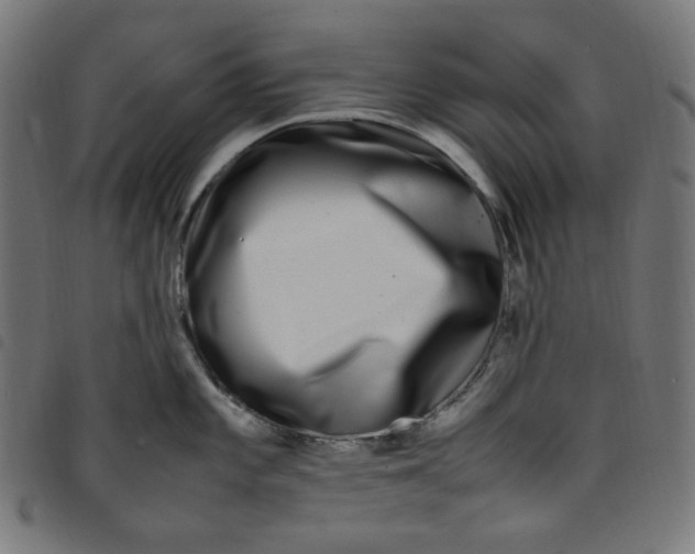 X0000098121101200804251446