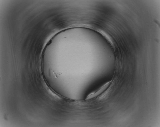 X0000098121102200804251446
