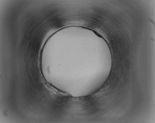 X0000098121104200804251446