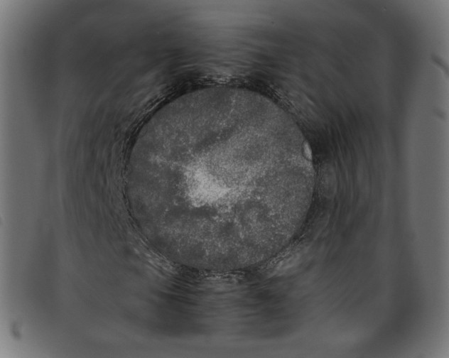 X0000098121105200804251445