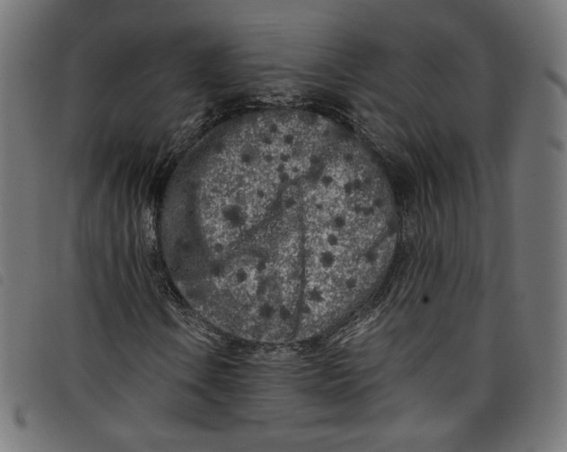X0000098121106200804251445