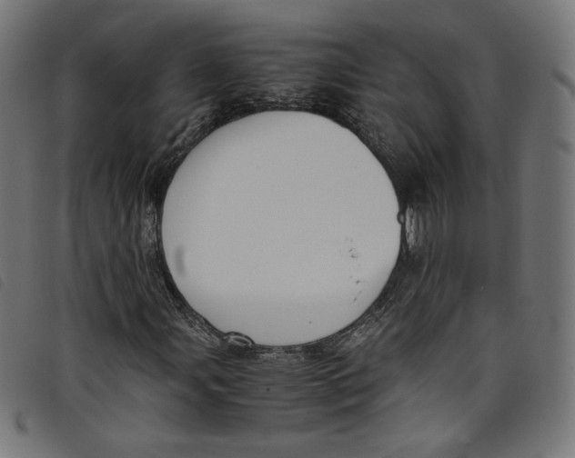 X0000098121107200804251445