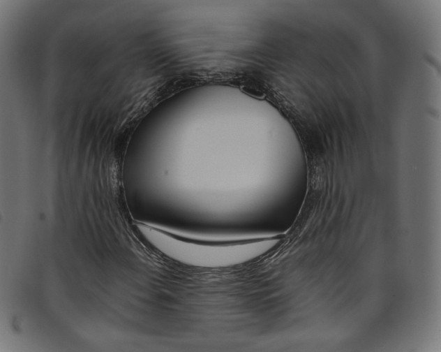 X0000098121108200804251445