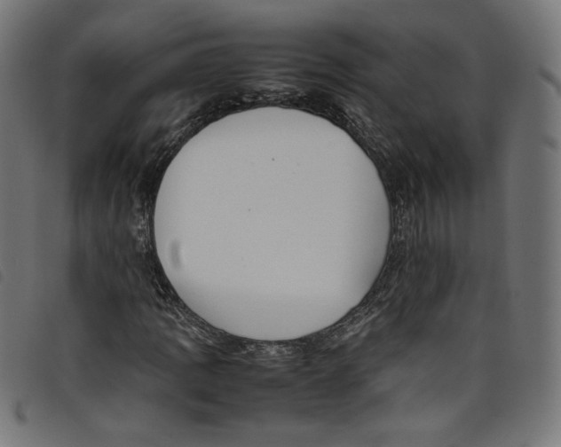 X0000098121109200804251445