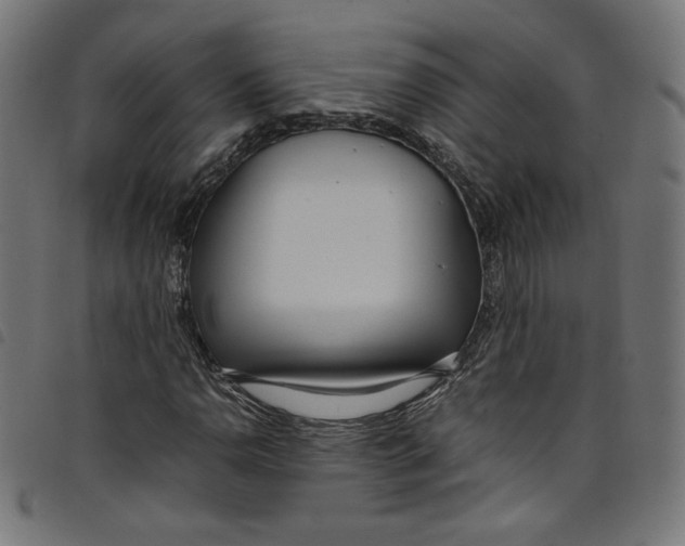 X0000098121110200804251445