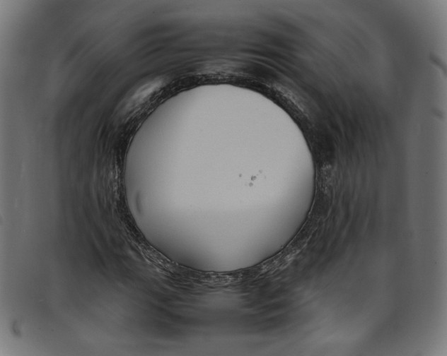 X0000098121111200804251445