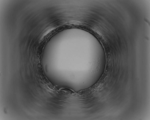 X0000098121112200804251445
