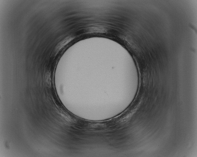 X0000098121113200804251445