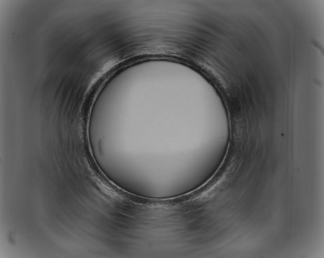 X0000098121114200804251445
