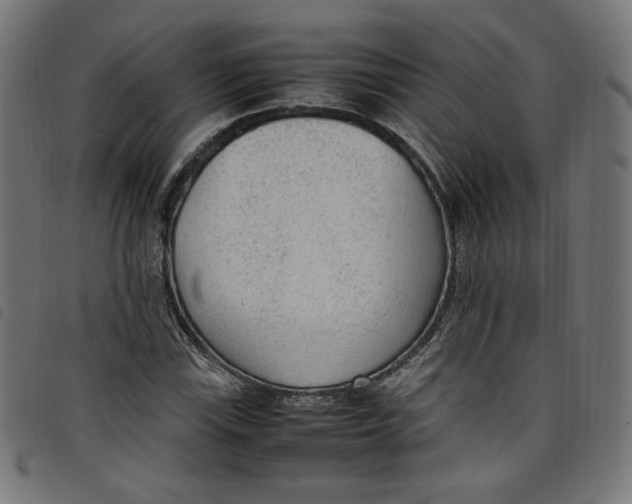 X0000098121115200804251445