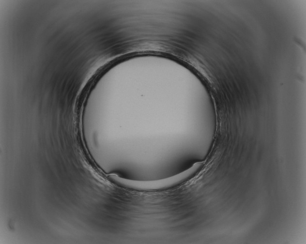 X0000098121116200804251445