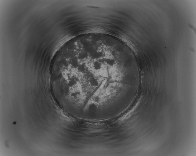X0000098121117200804251445