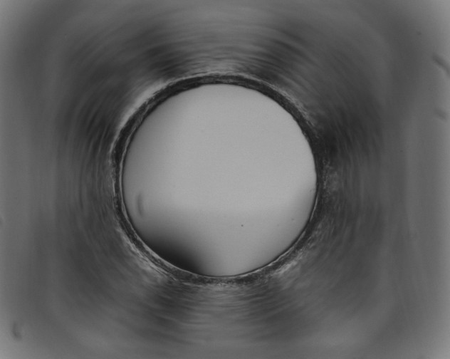 X0000098121118200804251445