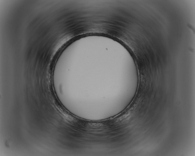 X0000098121119200804251445