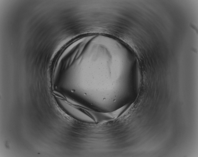 X0000098121120200804251445