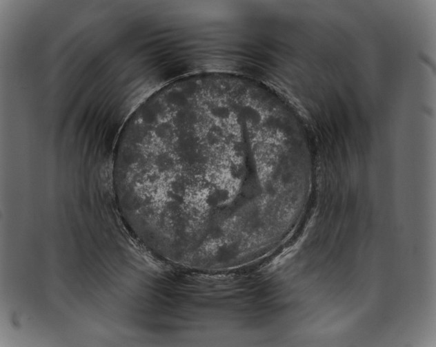 X0000098121121200804251445